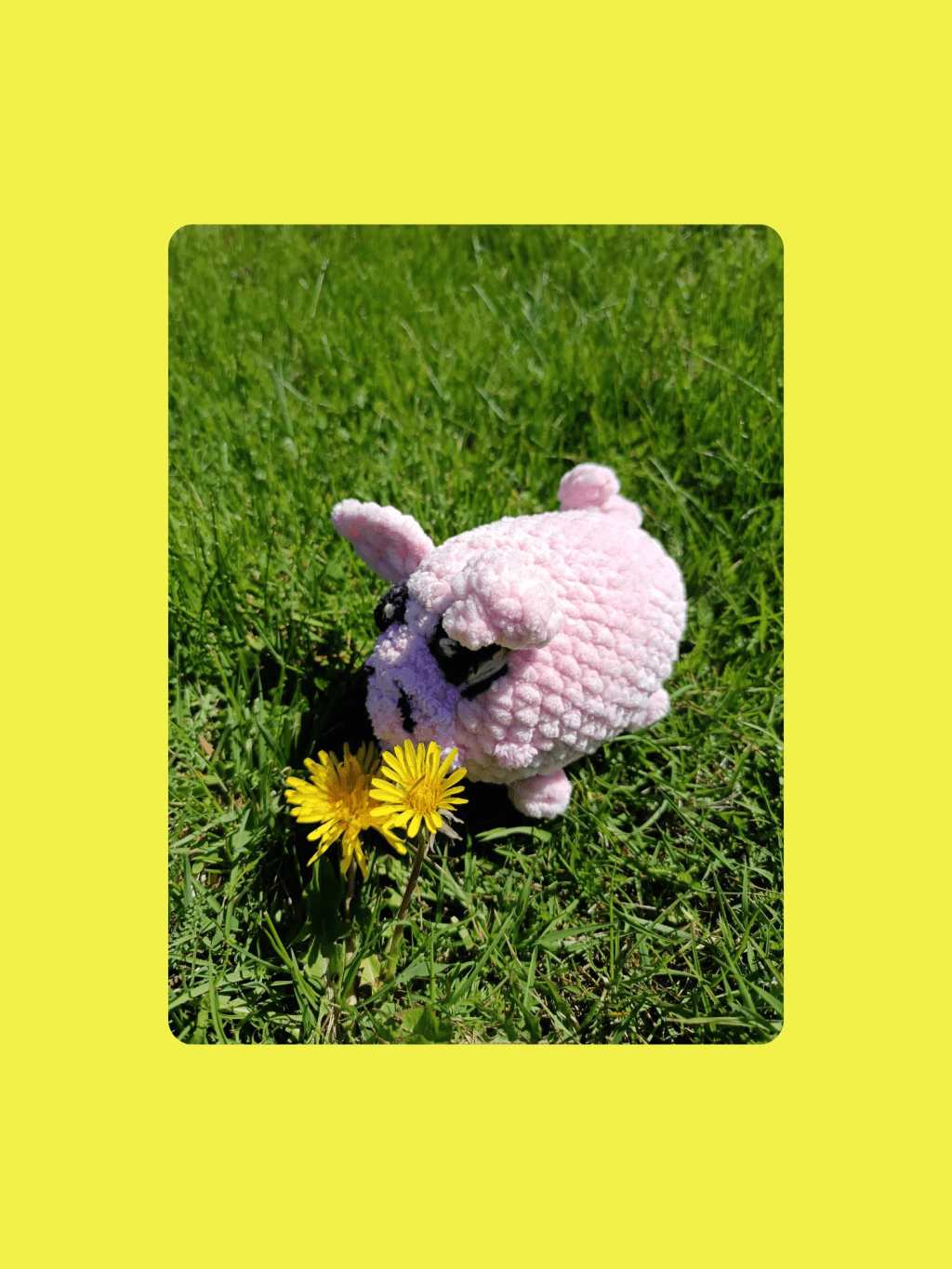 Kevään iloa Mupen silmin: voihan&nbsp;kura!