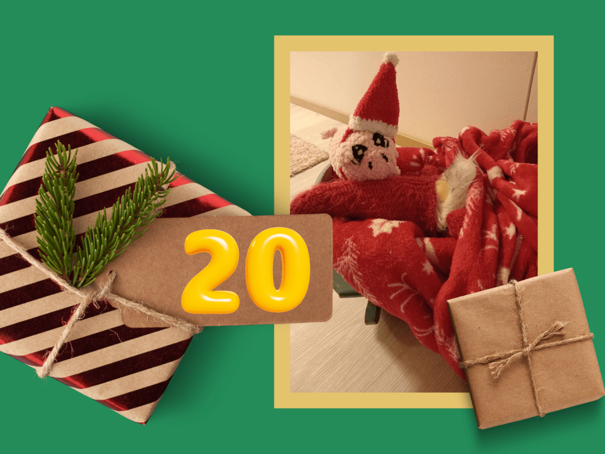 Tonttujen kyyti kotiin