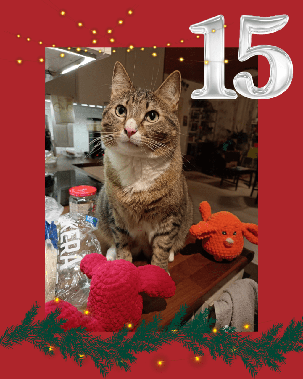 Mahdottomat kissafanit